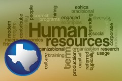 texas map icon and human resources concepts